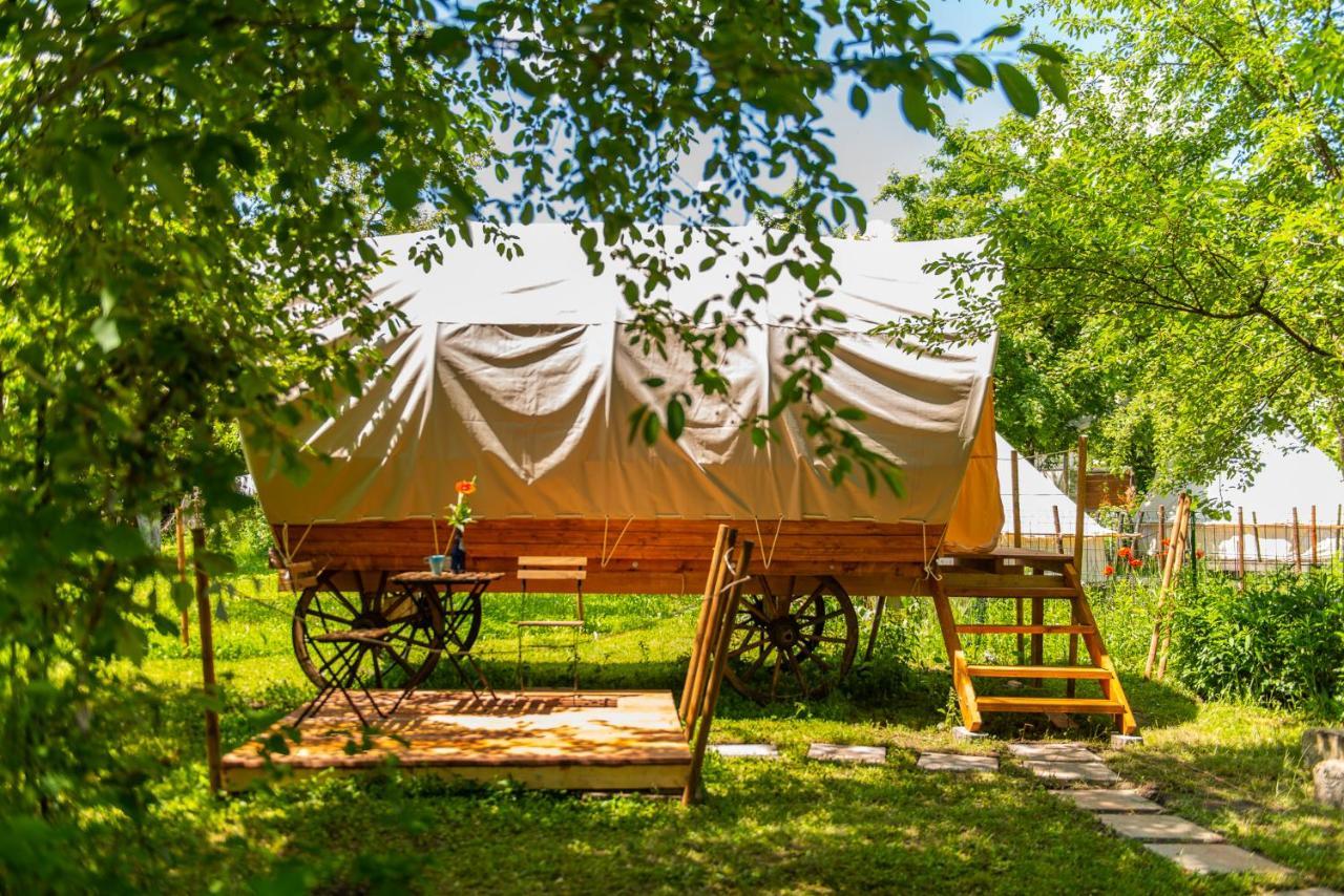 Dragonfly Gardens - The Wagons Hotell Braşov Exteriör bild