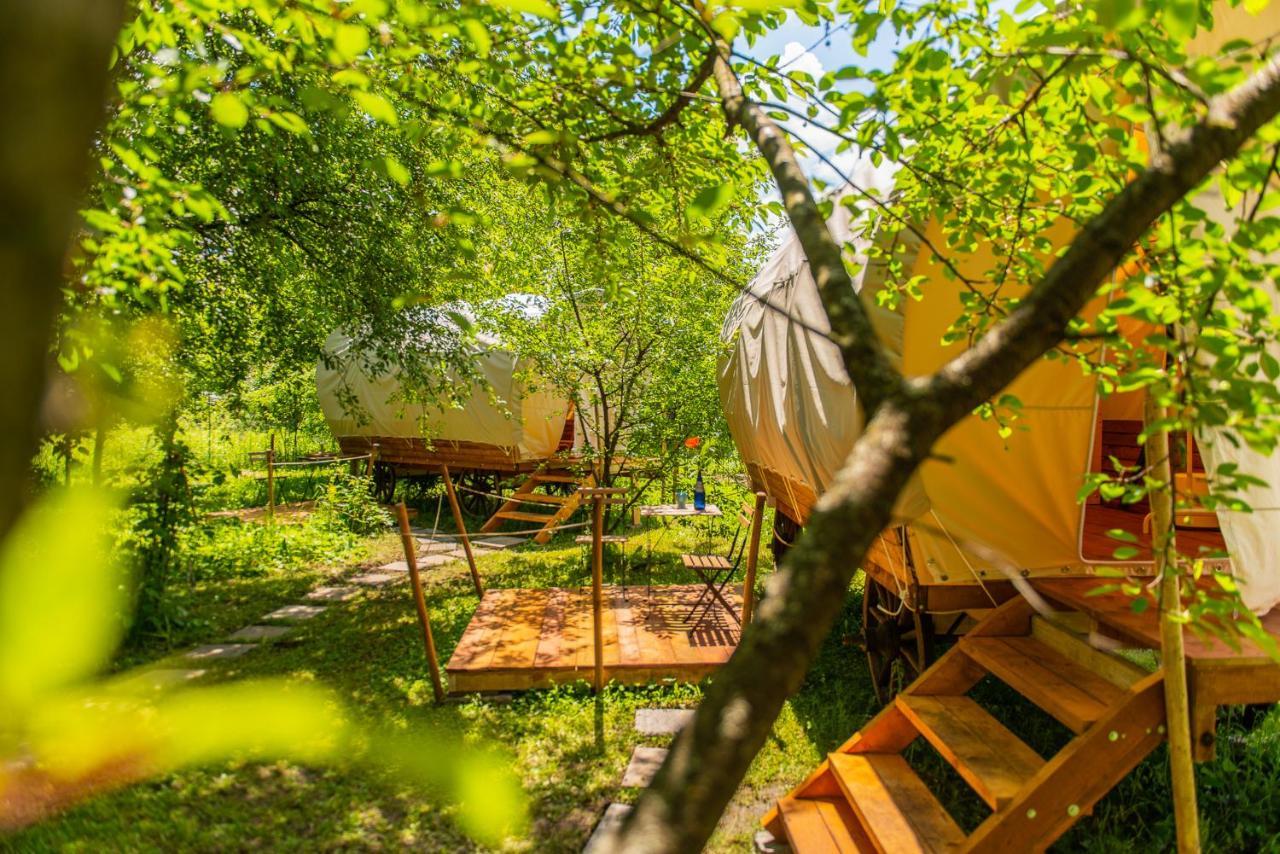 Dragonfly Gardens - The Wagons Hotell Braşov Exteriör bild