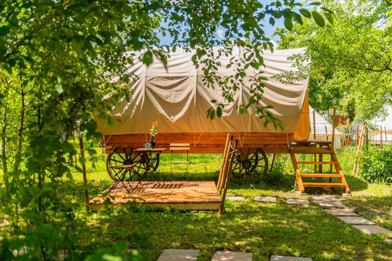 Dragonfly Gardens - The Wagons Hotell Braşov Exteriör bild