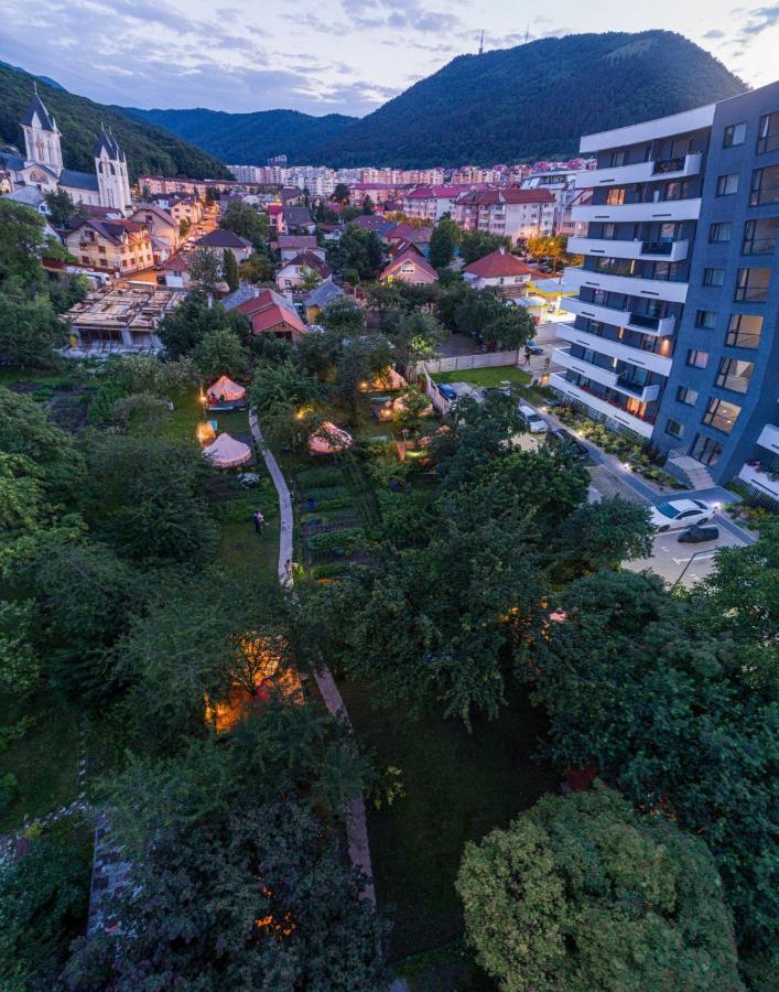 Dragonfly Gardens - The Wagons Hotell Braşov Exteriör bild