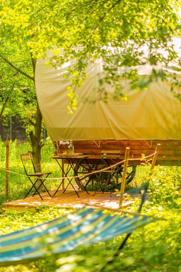 Dragonfly Gardens - The Wagons Hotell Braşov Exteriör bild