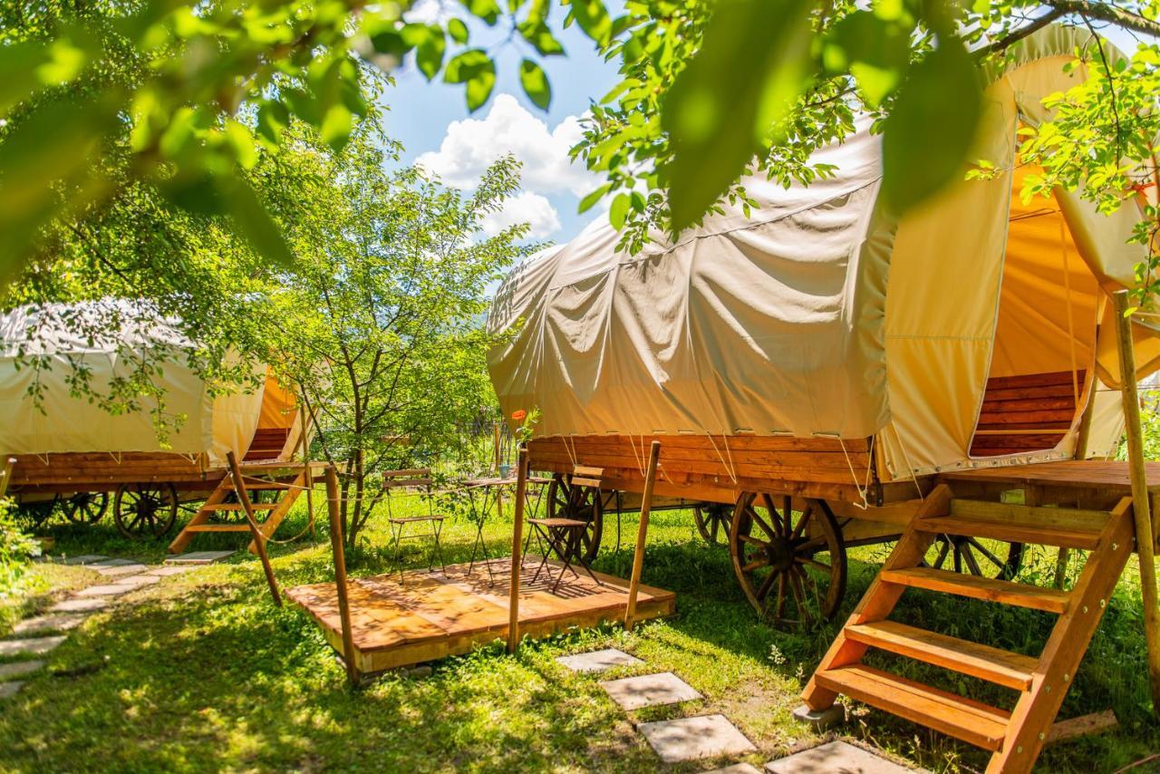 Dragonfly Gardens - The Wagons Hotell Braşov Exteriör bild