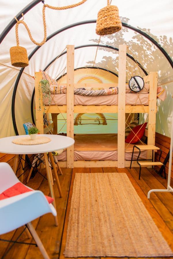 Dragonfly Gardens - The Wagons Hotell Braşov Exteriör bild
