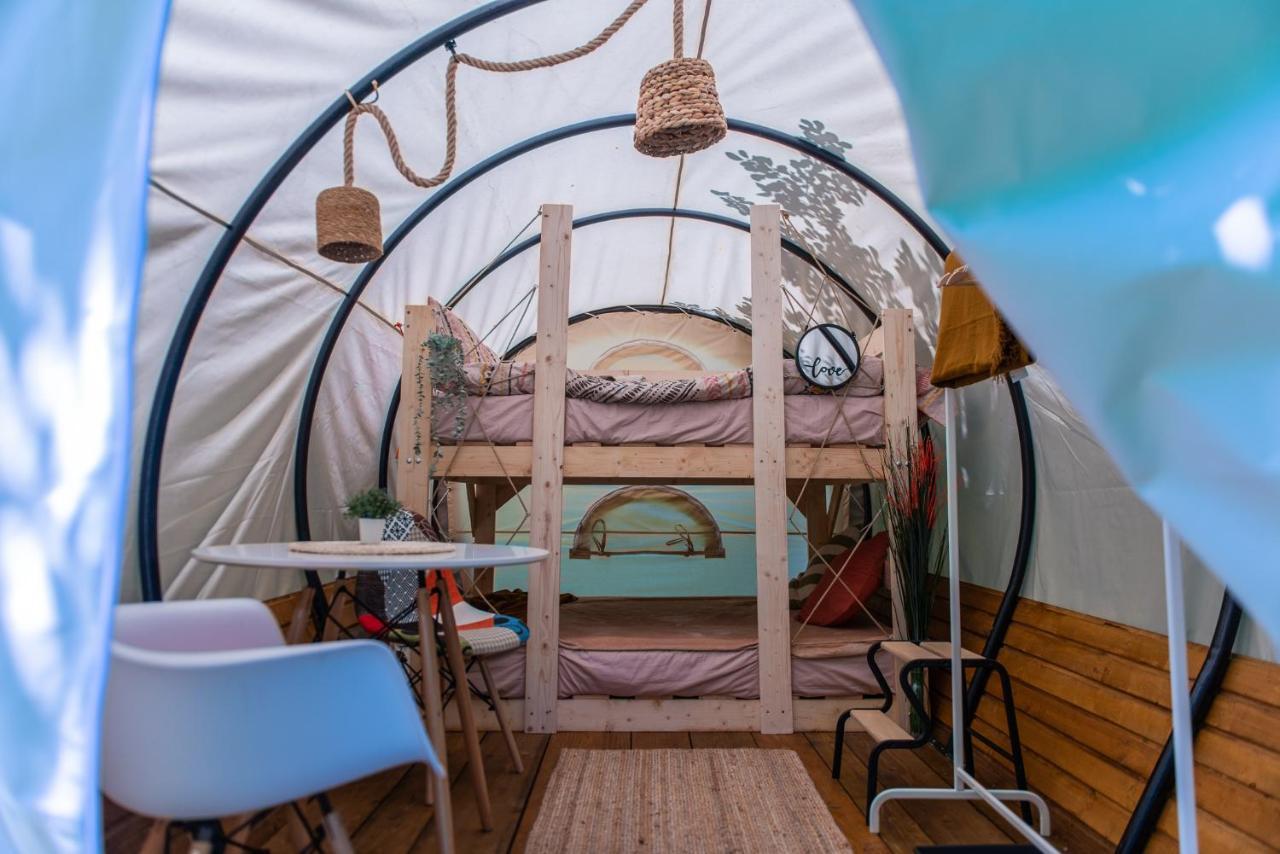Dragonfly Gardens - The Wagons Hotell Braşov Exteriör bild