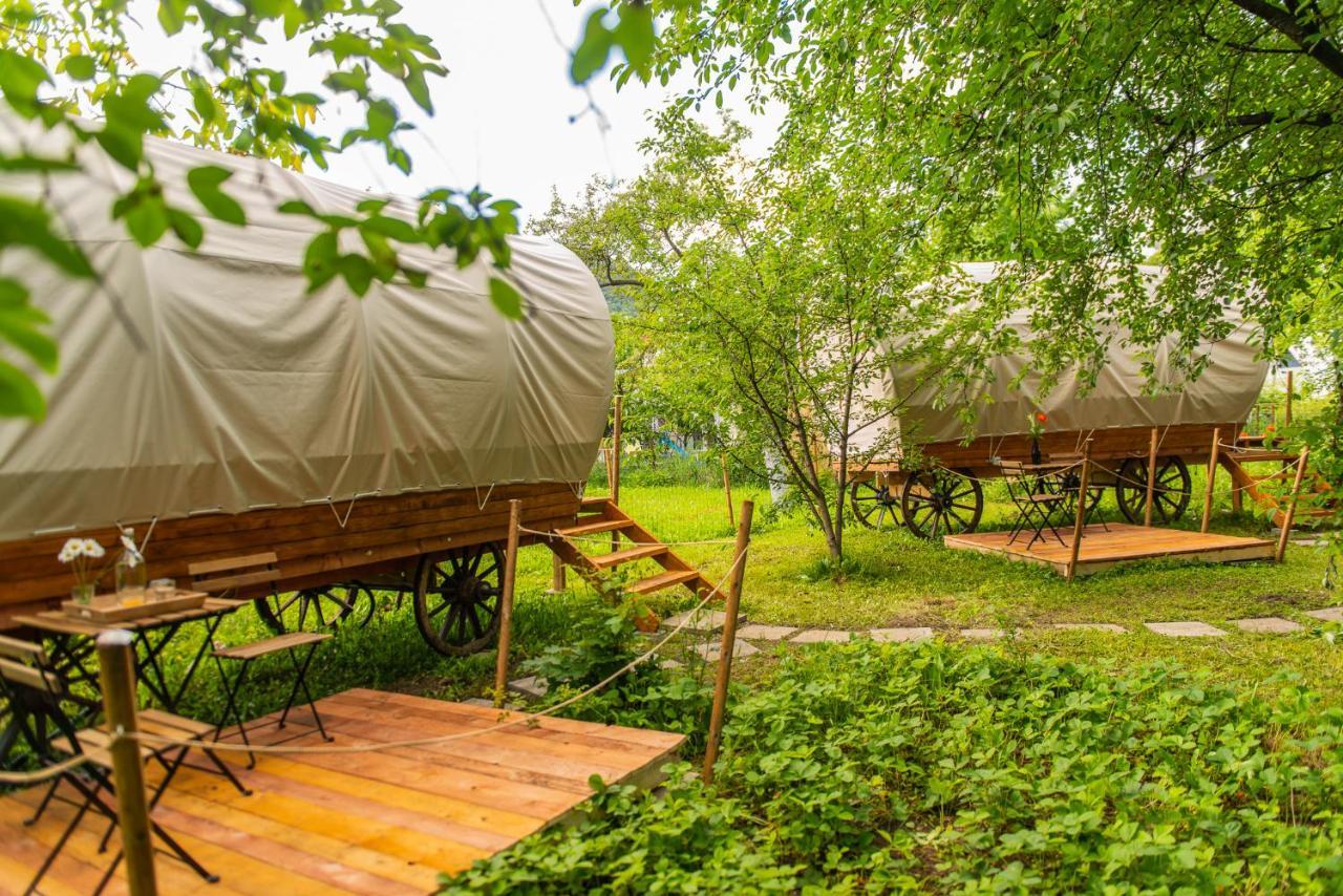 Dragonfly Gardens - The Wagons Hotell Braşov Exteriör bild