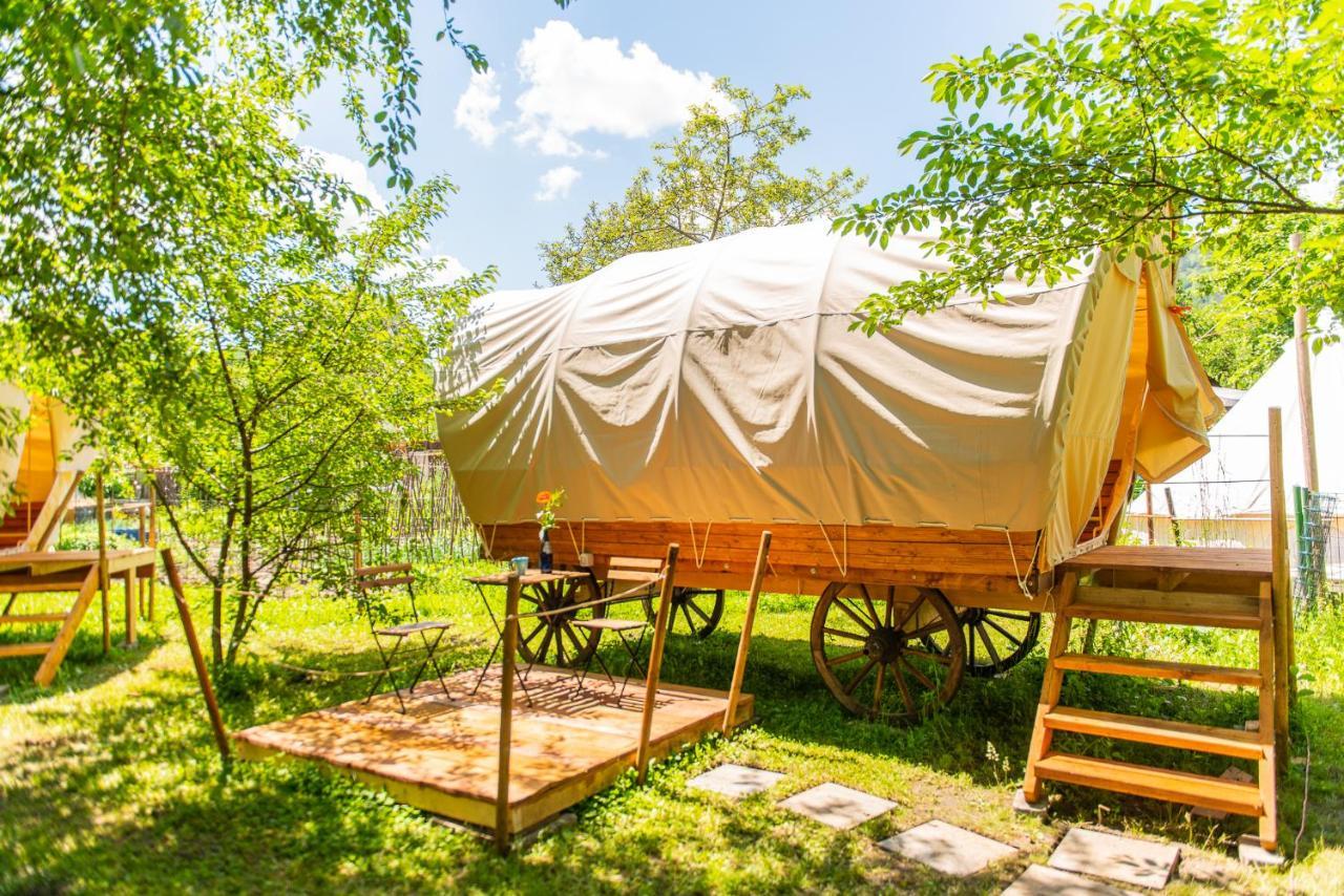 Dragonfly Gardens - The Wagons Hotell Braşov Exteriör bild
