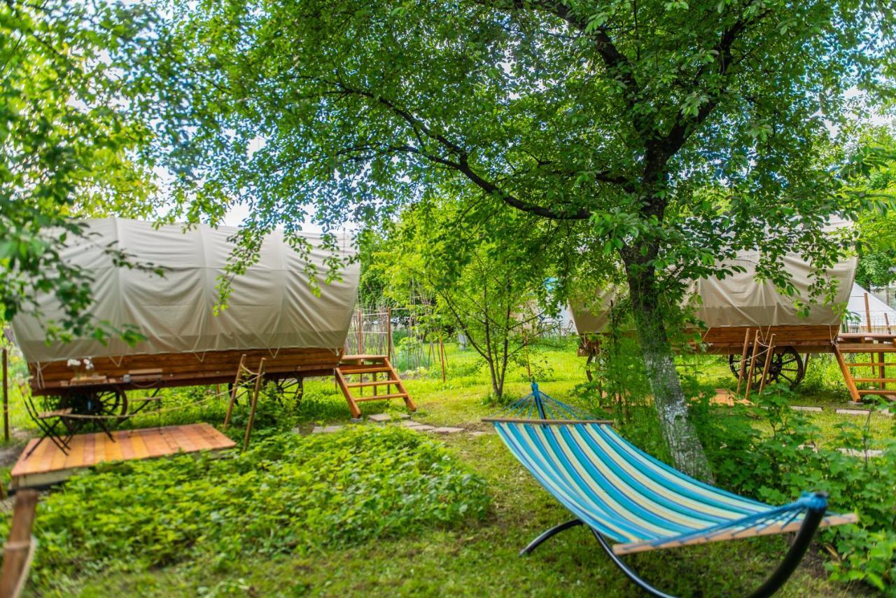 Dragonfly Gardens - The Wagons Hotell Braşov Exteriör bild