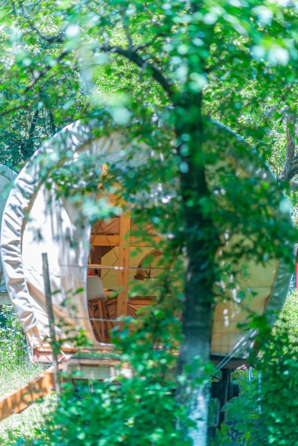 Dragonfly Gardens - The Wagons Hotell Braşov Exteriör bild