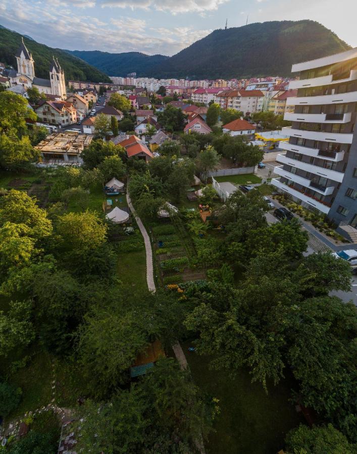 Dragonfly Gardens - The Wagons Hotell Braşov Exteriör bild