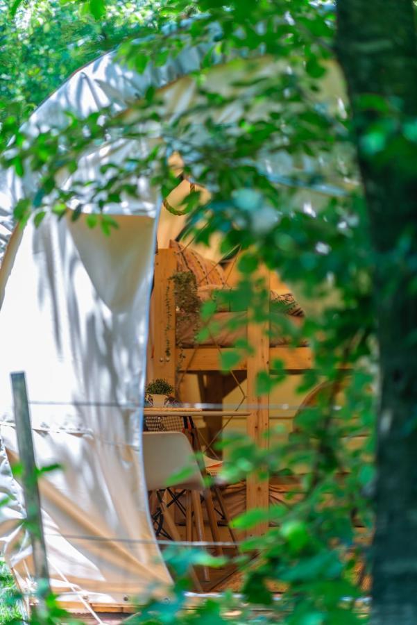 Dragonfly Gardens - The Wagons Hotell Braşov Exteriör bild