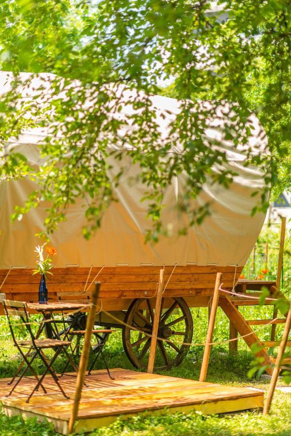 Dragonfly Gardens - The Wagons Hotell Braşov Exteriör bild