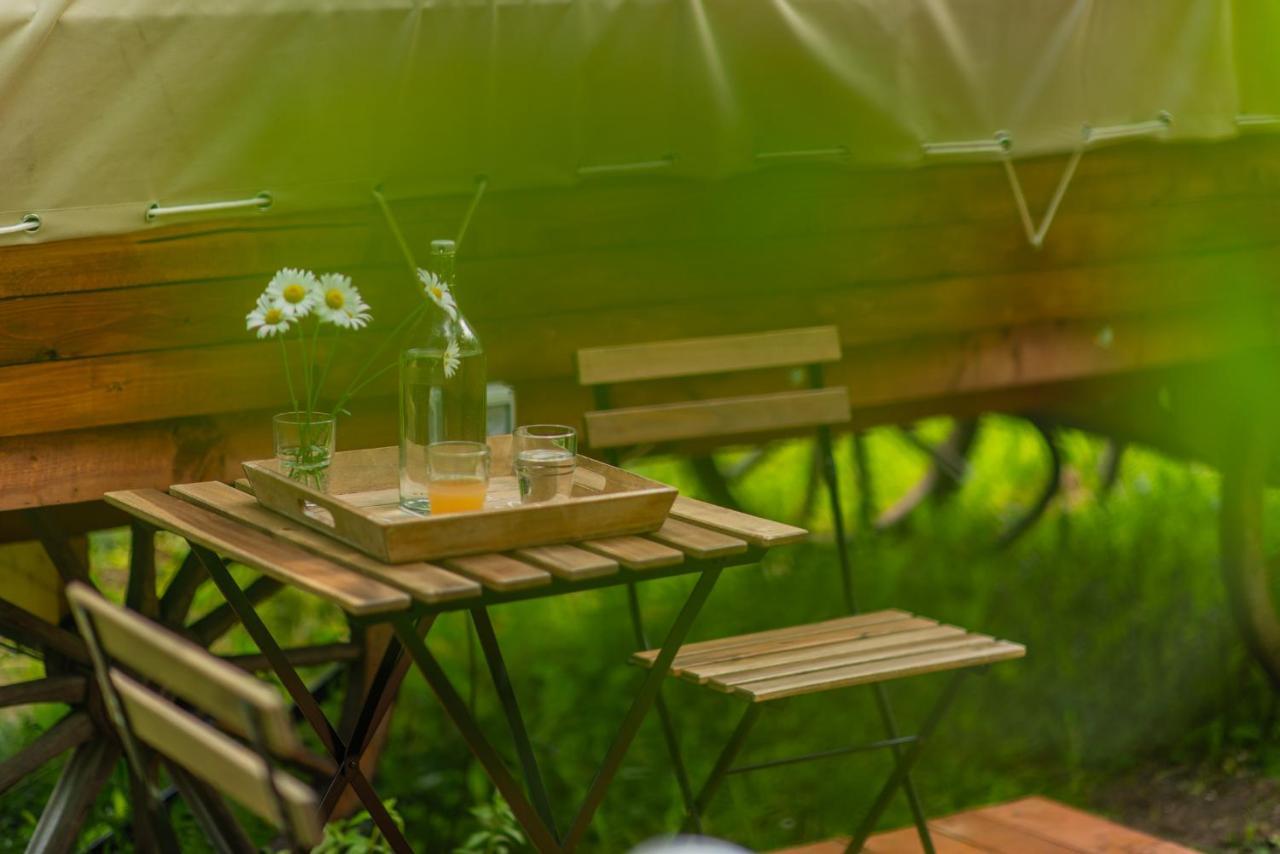 Dragonfly Gardens - The Wagons Hotell Braşov Exteriör bild
