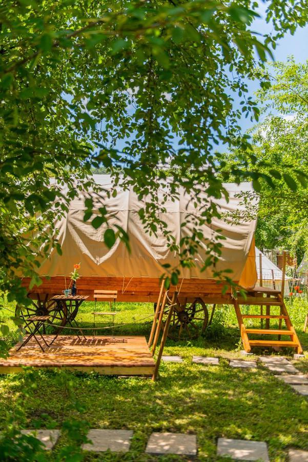Dragonfly Gardens - The Wagons Hotell Braşov Exteriör bild