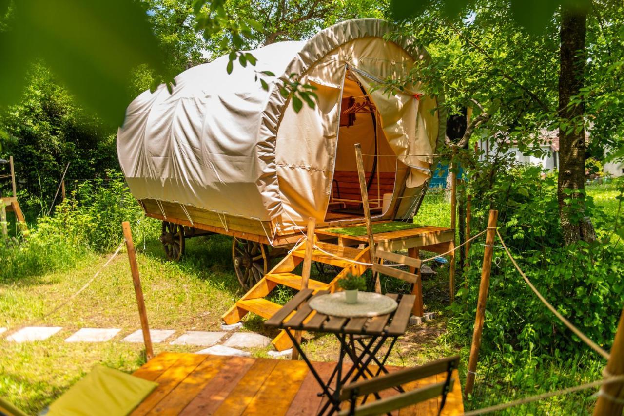 Dragonfly Gardens - The Wagons Hotell Braşov Exteriör bild