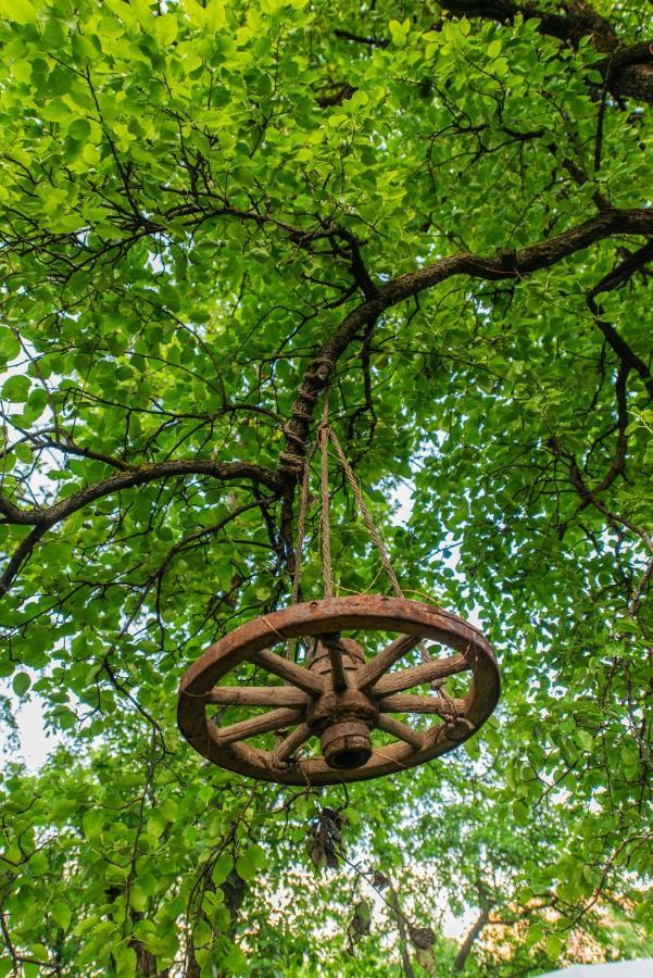 Dragonfly Gardens - The Wagons Hotell Braşov Exteriör bild