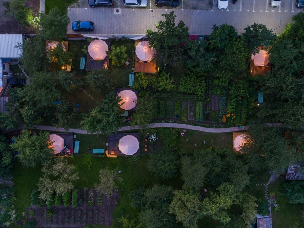 Dragonfly Gardens - The Wagons Hotell Braşov Exteriör bild