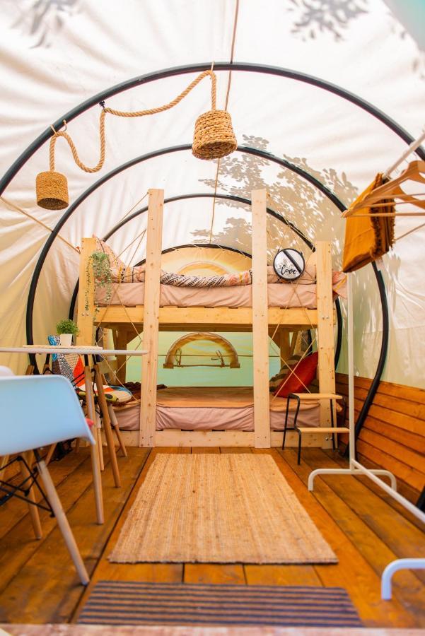 Dragonfly Gardens - The Wagons Hotell Braşov Exteriör bild